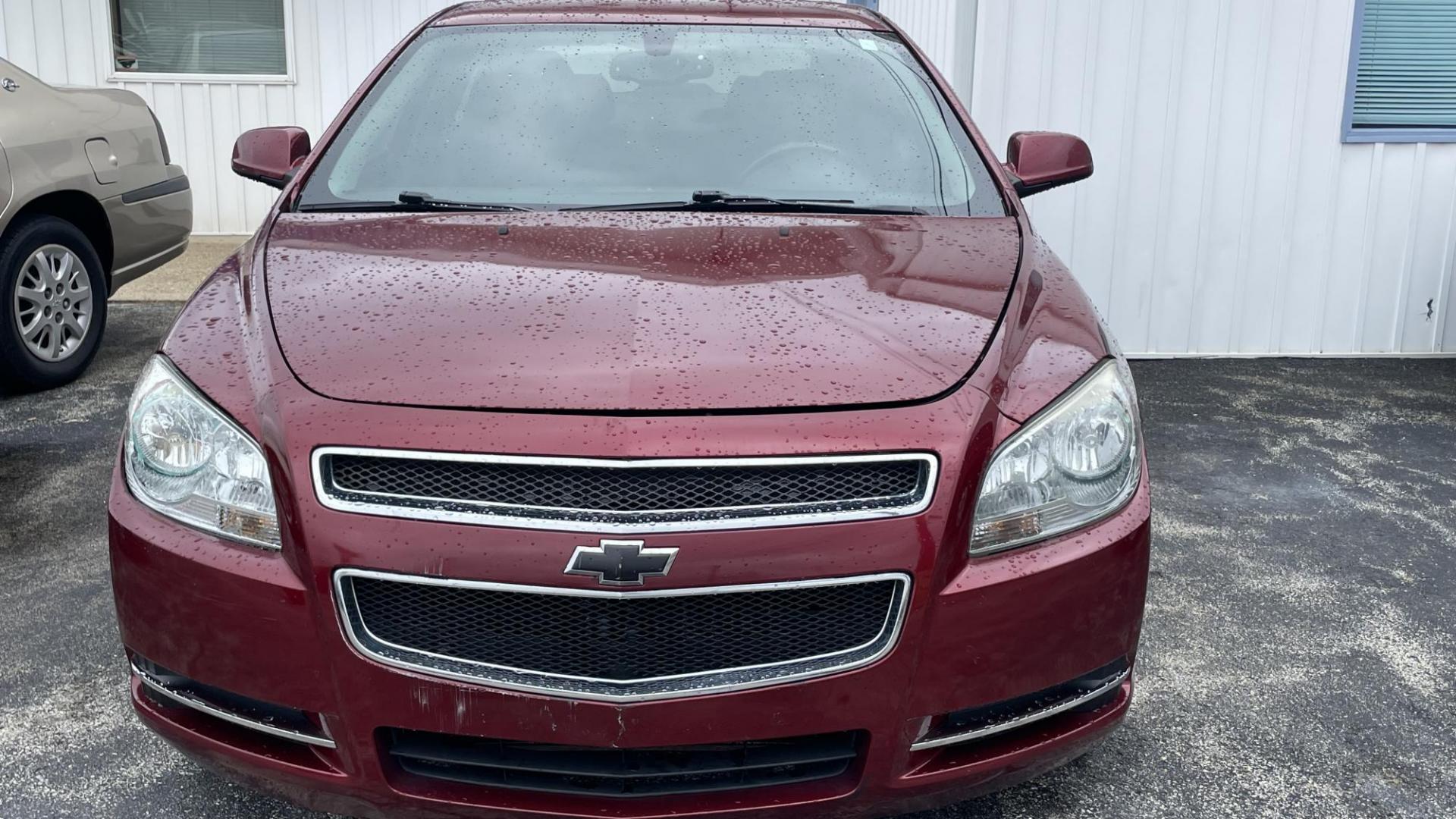 2010 Maroon /BLACK Chevrolet Malibu LTZ (1G1ZE5EB8AF) with an 2.4L L4 DOHC 16V engine, 4-Speed Automatic transmission, located at 2710A Westlane Rd., Indianapolis, IN, 46268, (317) 291-2000, 39.885670, -86.208160 - Photo#2