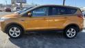 2016 ORANGE/COPPER /GRAY Ford Escape SE 4WD (1FMCU9GX1GU) with an 1.6L L4 DOHC 16V engine, 6-Speed Automatic transmission, located at 2710A Westlane Rd., Indianapolis, IN, 46268, (317) 291-2000, 39.885670, -86.208160 - Photo#3